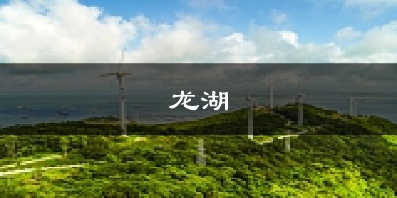 汕頭龍湖天氣預(yù)報未來一周