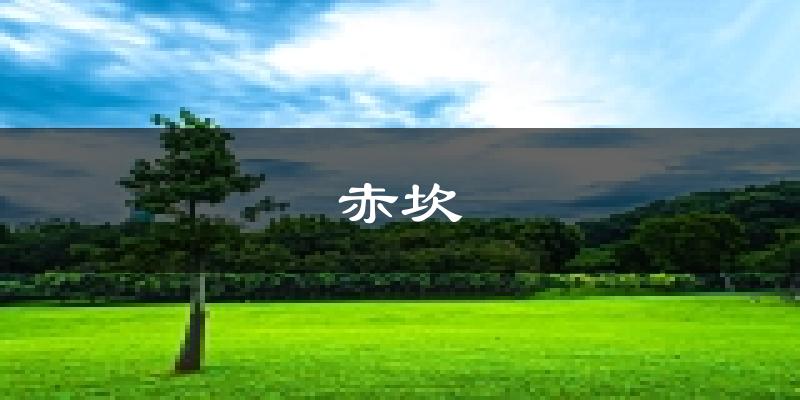 湛江赤坎天氣預(yù)報未來一周
