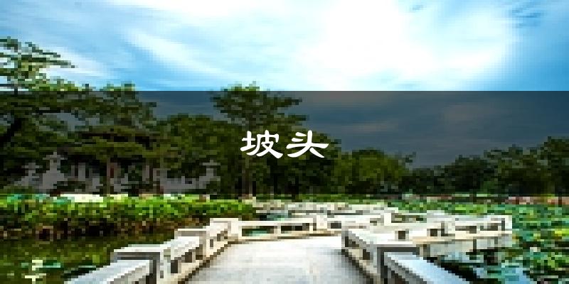 湛江坡頭天氣預(yù)報未來一周