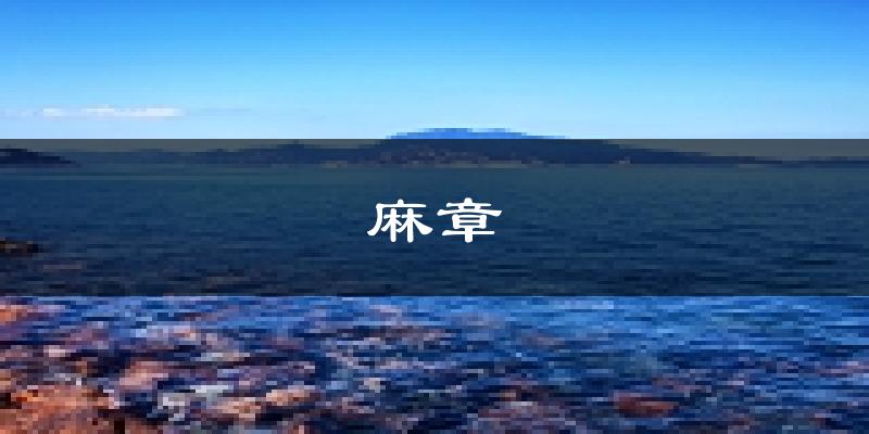 湛江麻章天氣預(yù)報(bào)未來(lái)一周