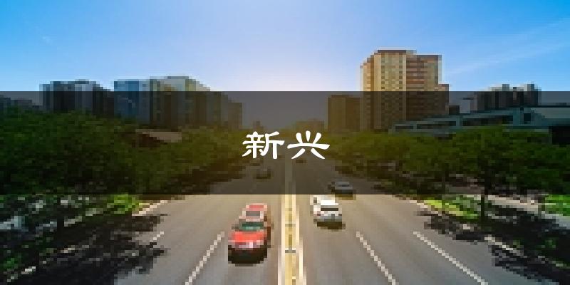 新興天氣預報未來一周