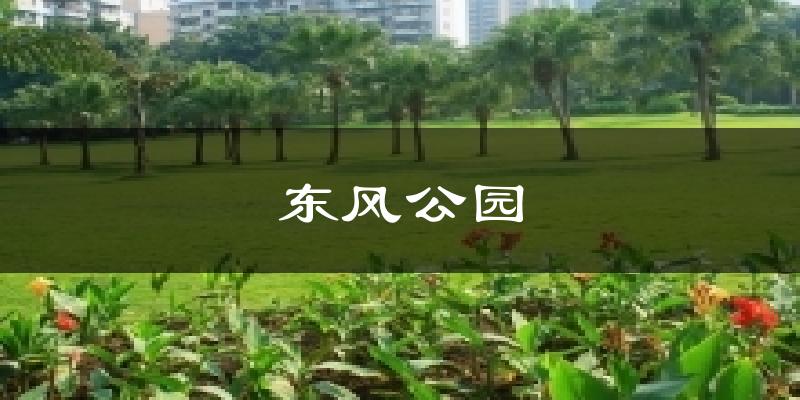 東風(fēng)公園今日天氣