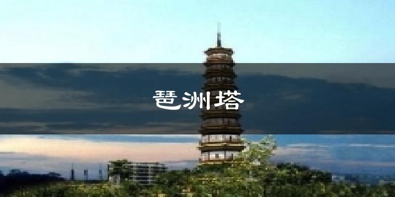 琶洲塔今日天氣