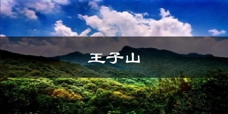 王子山今日天氣
