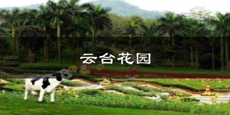 云臺(tái)花園氣溫