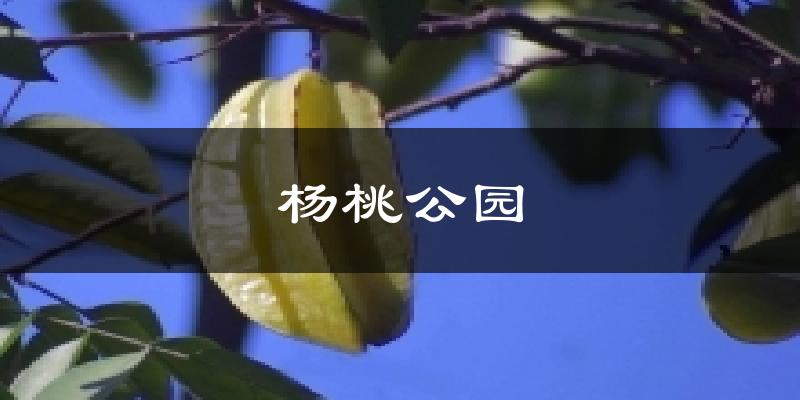 楊桃公園氣溫