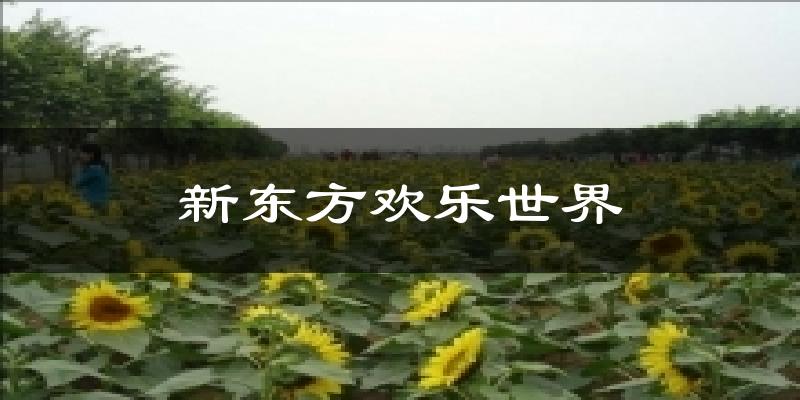 新東方歡樂世界氣溫