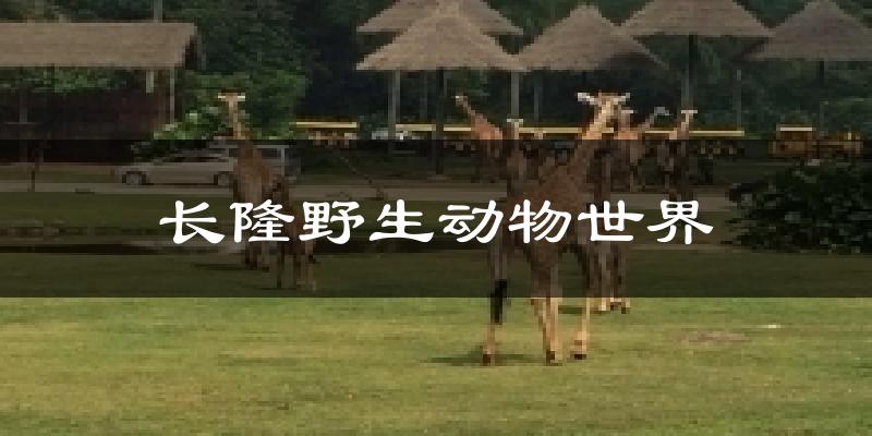 長(zhǎng)隆野生動(dòng)物世界氣溫