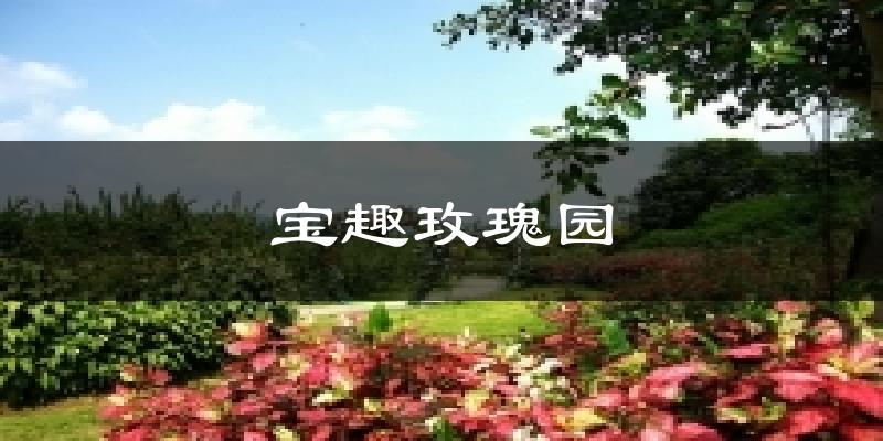 寶趣玫瑰園氣溫