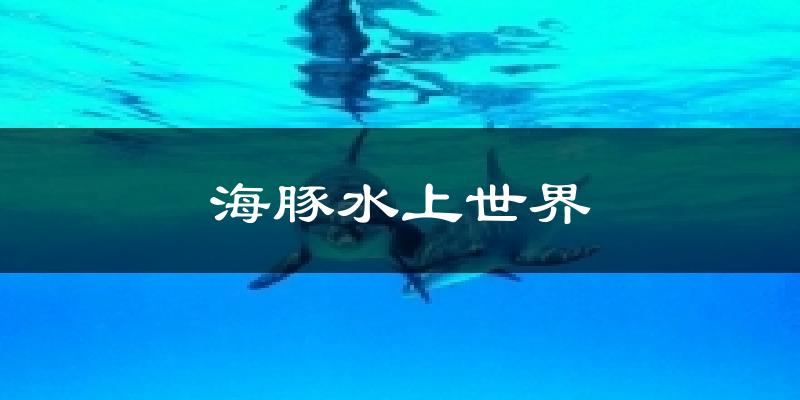 海豚水上世界氣溫