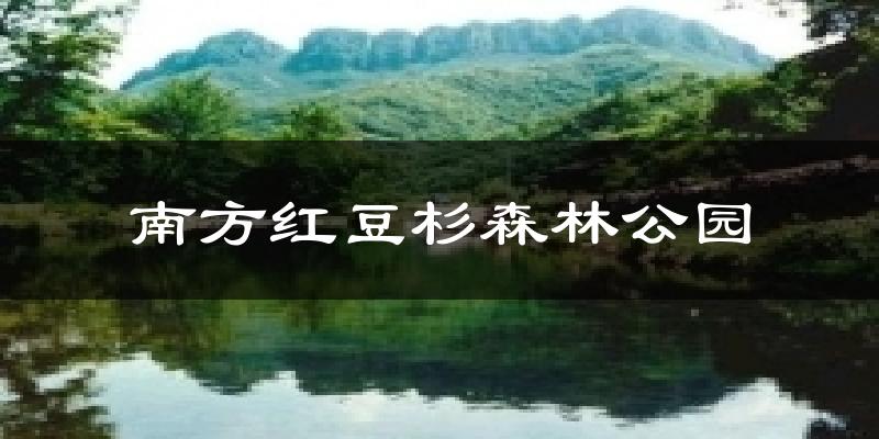 乳源南方紅豆杉森林公園天氣預(yù)報未來一周