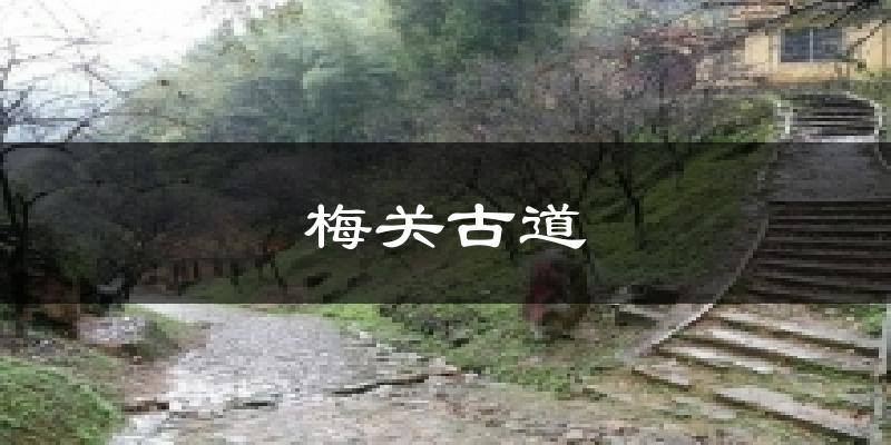 梅關(guān)古道今日天氣