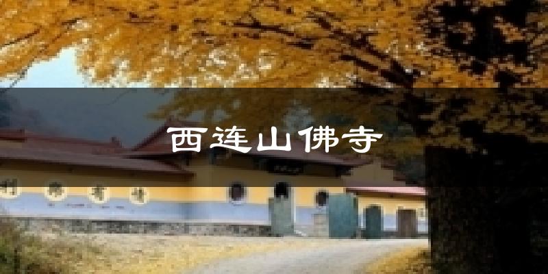 西連山佛寺今日天氣