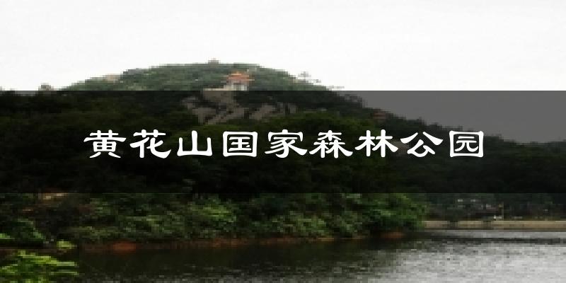 黃花山國(guó)家森林公園今日天氣