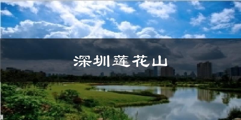深圳蓮花山今日天氣