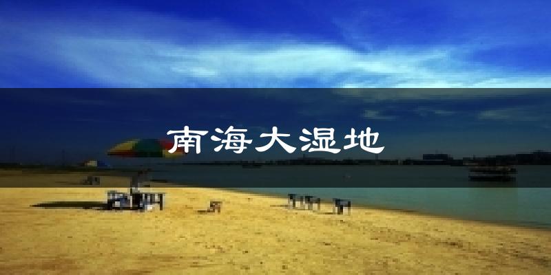 南海大濕地氣溫