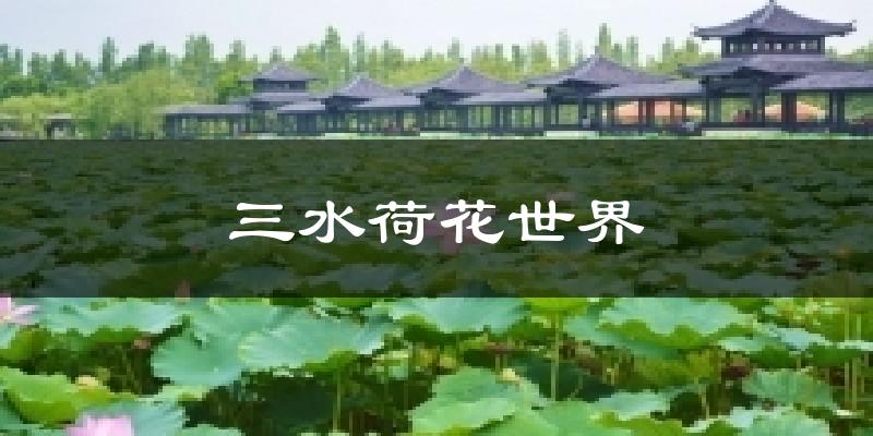 三水荷花世界天氣預(yù)報(bào)十五天