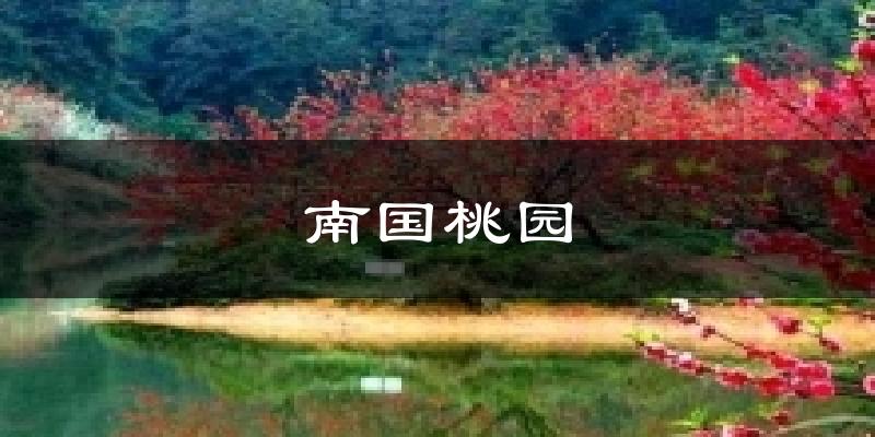 南國桃園今日天氣