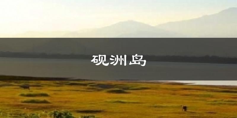 肇慶硯洲島天氣預報未來一周