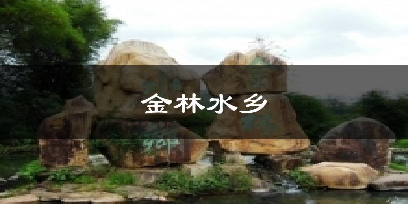 金林水鄉(xiāng)今日天氣
