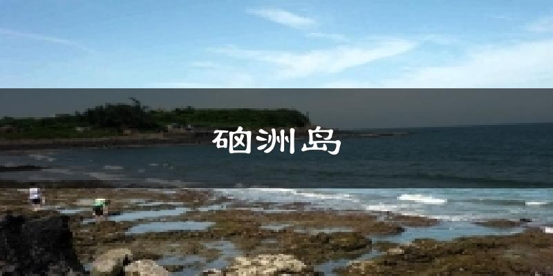 硇洲島天氣預報十五天