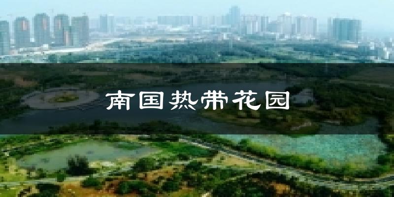 南國熱帶花園氣溫