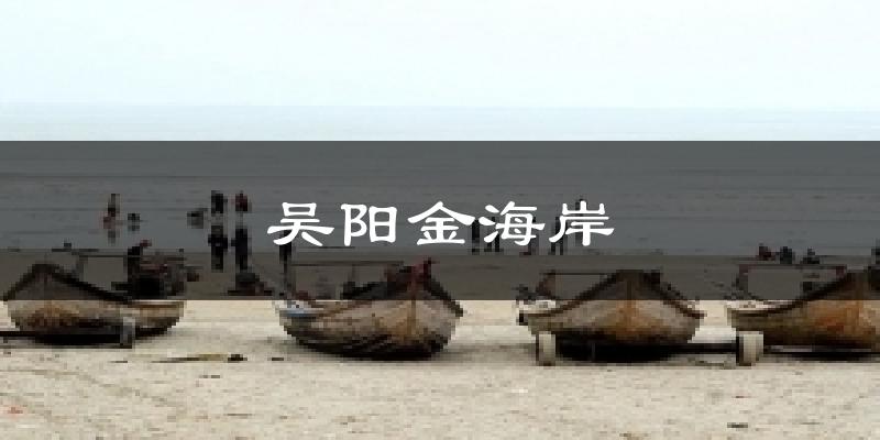 吳陽金海岸今日天氣