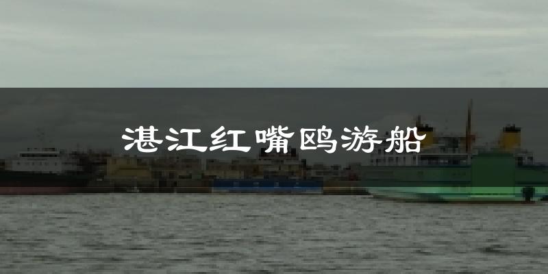 湛江紅嘴鷗游船今日天氣
