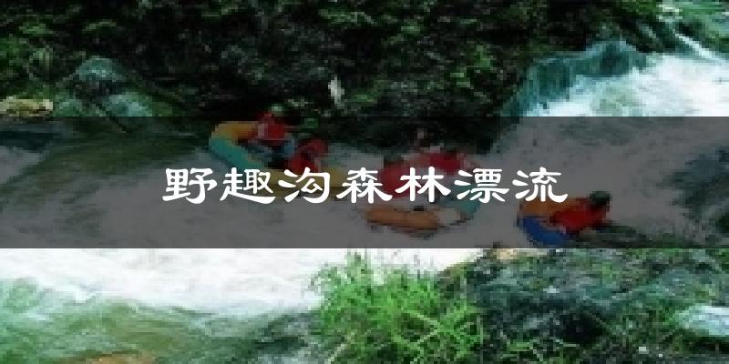 野趣溝森林漂流今日天氣