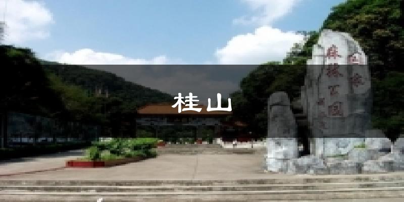 桂山今日天氣