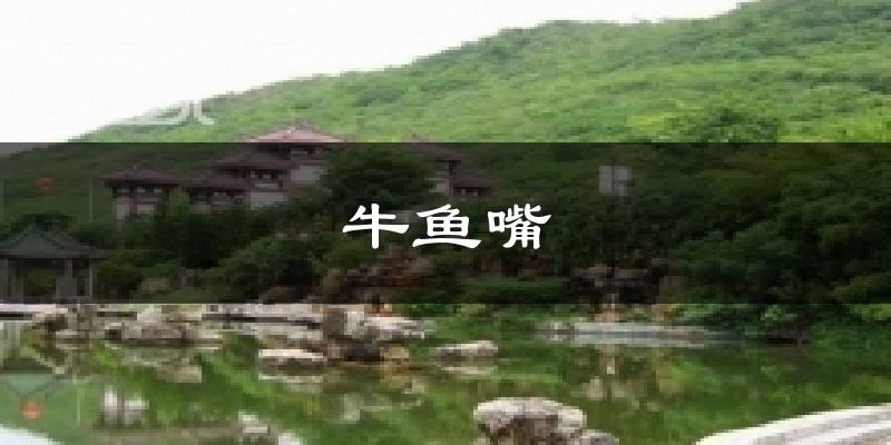 牛魚(yú)嘴今日天氣