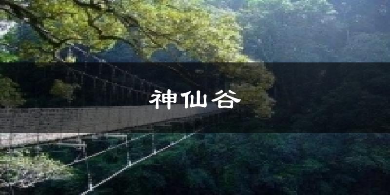 神仙谷今日天氣