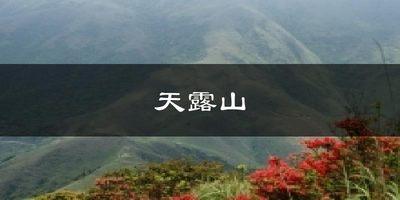 天露山今日天氣