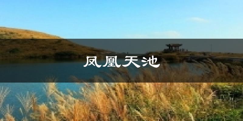 潮州潮安鳳凰天池天氣預(yù)報(bào)未來(lái)一周