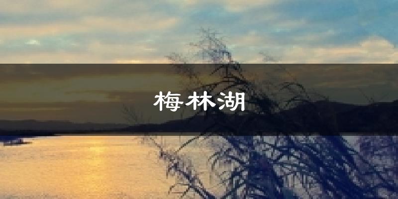 梅林湖氣溫