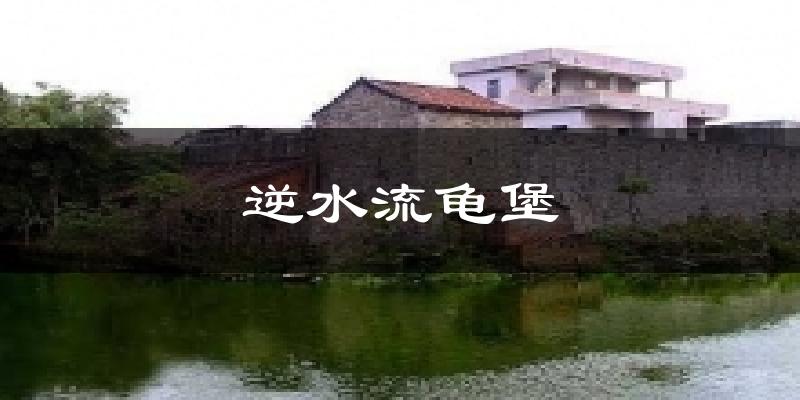 逆水流龜堡氣溫