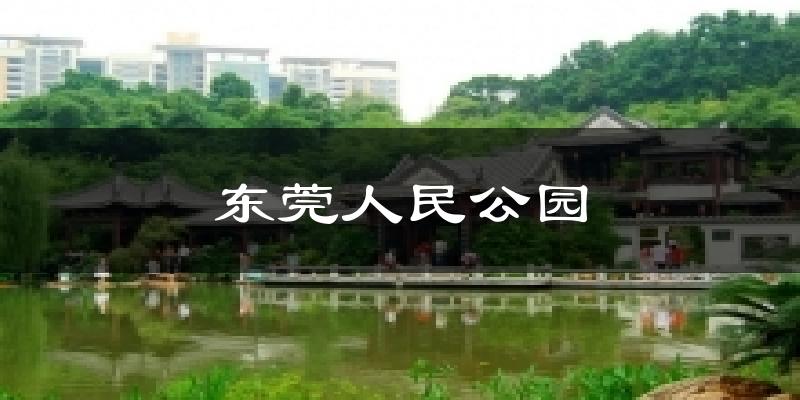 東莞人民公園天氣預(yù)報十五天