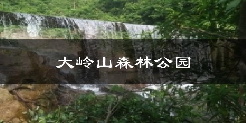 大嶺山森林公園今日天氣