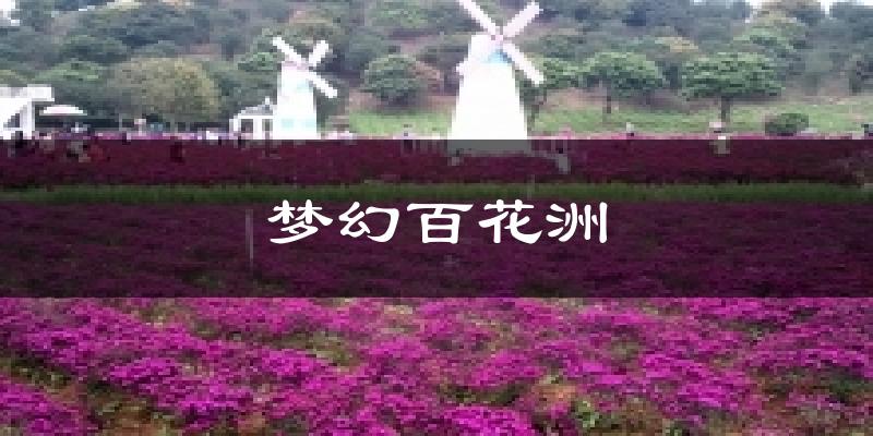 夢(mèng)幻百花洲今日天氣