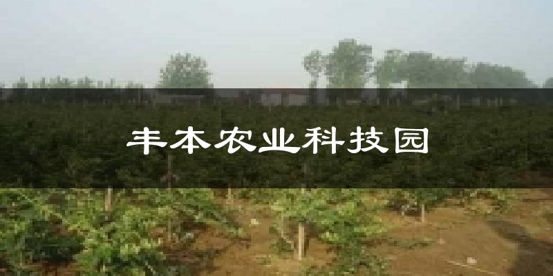 豐本農(nóng)業(yè)科技園氣溫