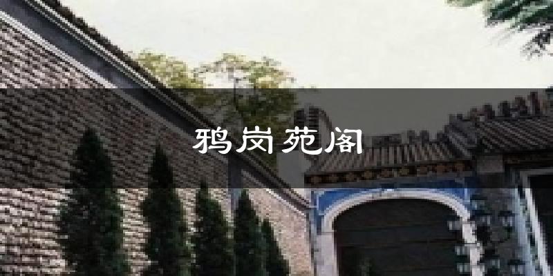 鴉崗苑閣今日天氣
