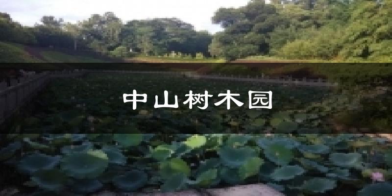 中山樹(shù)木園今日天氣