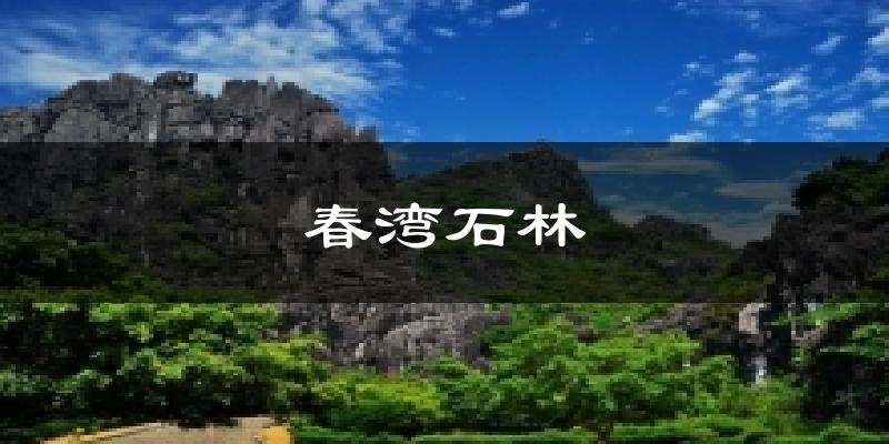 春灣石林今日天氣